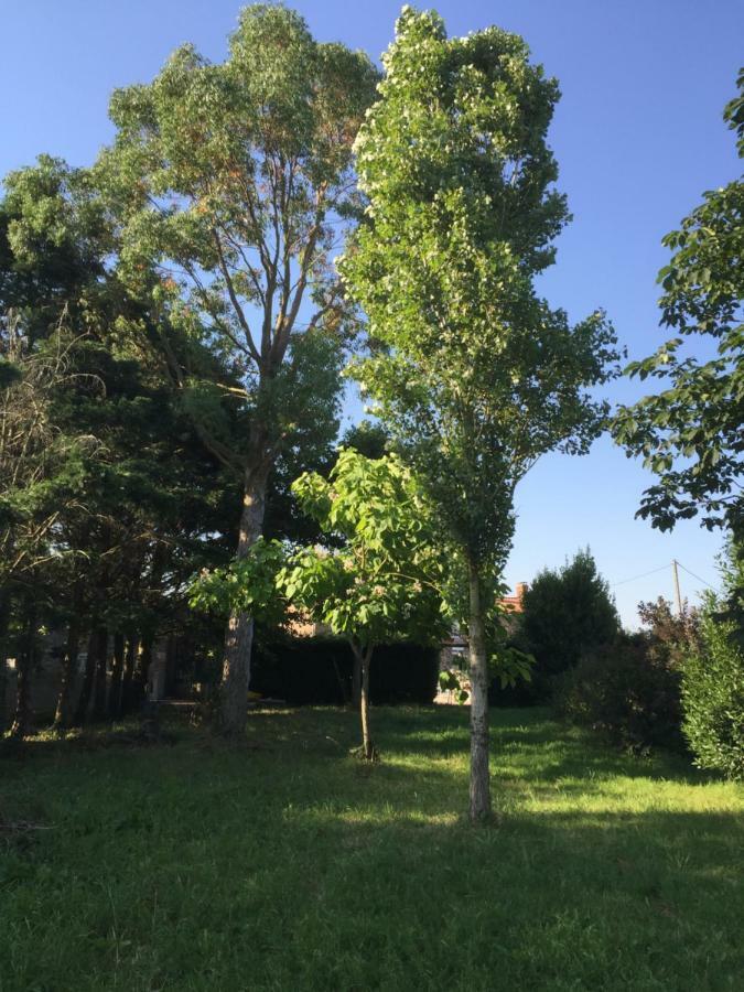 Gite Climatise De La Haute Rue Touvois エクステリア 写真