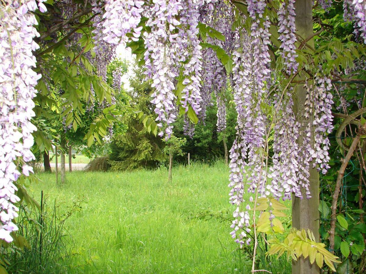 Gite Climatise De La Haute Rue Touvois エクステリア 写真