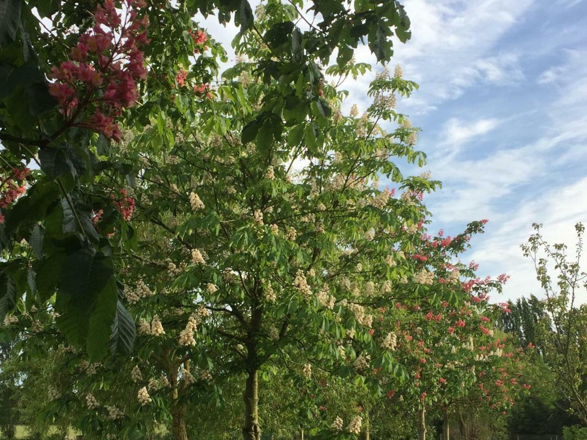 Gite Climatise De La Haute Rue Touvois エクステリア 写真
