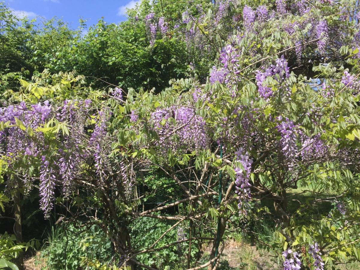 Gite Climatise De La Haute Rue Touvois エクステリア 写真